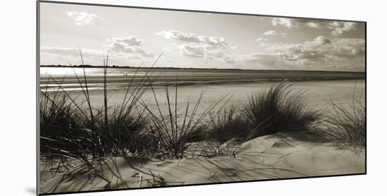 Rolling Dunes IV-Ben James-Mounted Giclee Print