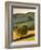 Rolling Farmland in Summertime, Devon, England. Summer-Adam Burton-Framed Photographic Print