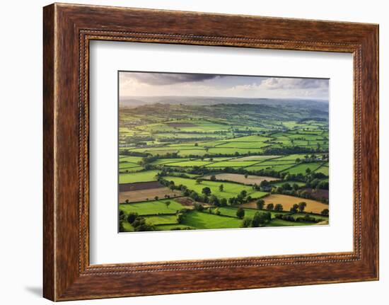 Rolling fields near Llangorse, Brecon Beacons National Park, Powys, Wales, UK. Autumn (October) 200-Adam Burton-Framed Photographic Print