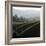 Rolling Fog and Rolling Hills-Lance Kuehne-Framed Photographic Print