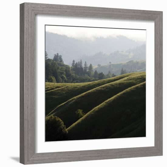 Rolling Fog and Rolling Hills-Lance Kuehne-Framed Photographic Print