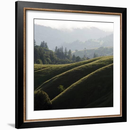 Rolling Fog and Rolling Hills-Lance Kuehne-Framed Photographic Print