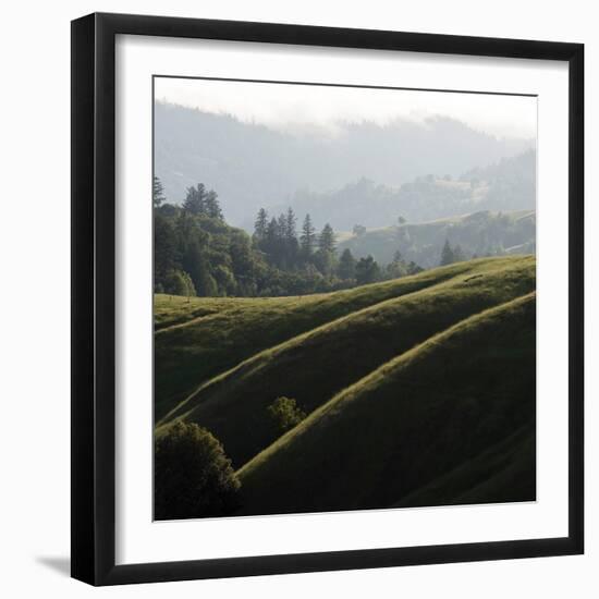 Rolling Fog and Rolling Hills-Lance Kuehne-Framed Photographic Print