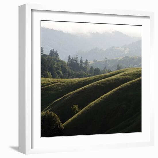 Rolling Fog and Rolling Hills-Lance Kuehne-Framed Photographic Print