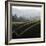 Rolling Fog and Rolling Hills-Lance Kuehne-Framed Photographic Print