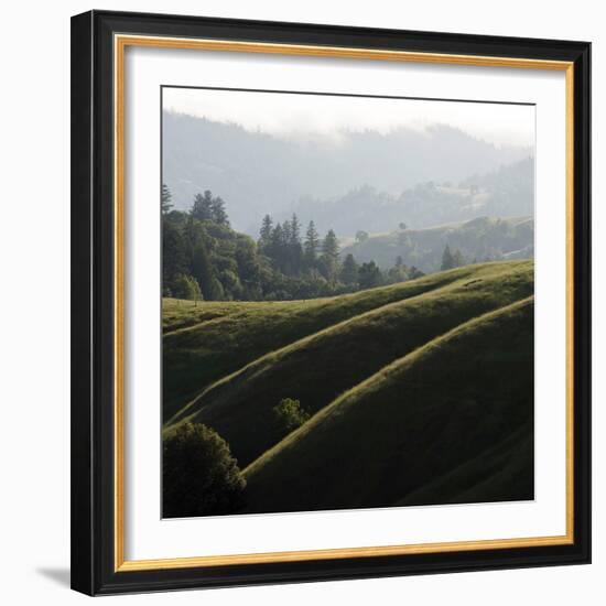 Rolling Fog and Rolling Hills-Lance Kuehne-Framed Photographic Print