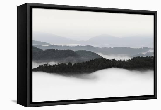 Rolling Fog, Smoky Mountains No. 2-Nicholas Bell-Framed Premier Image Canvas