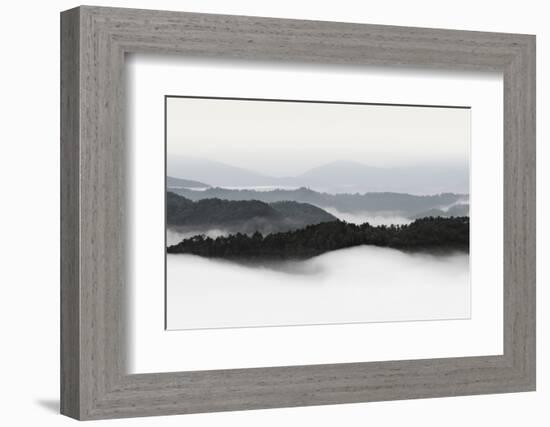 Rolling Fog, Smoky Mountains No. 2-Nicholas Bell-Framed Photographic Print