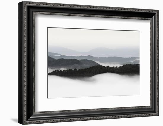 Rolling Fog, Smoky Mountains No. 2-Nicholas Bell-Framed Photographic Print