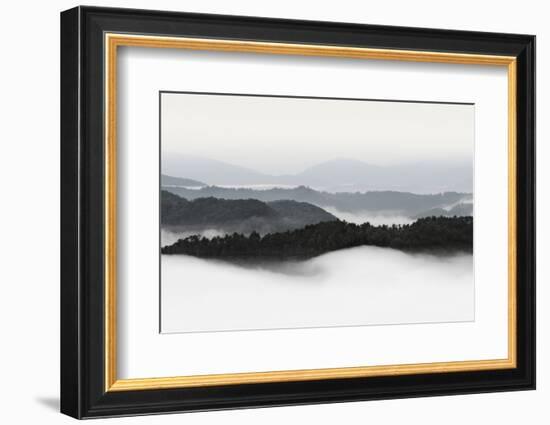 Rolling Fog, Smoky Mountains No. 2-Nicholas Bell-Framed Photographic Print