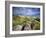 Rolling Green Hills of Central California No.2-Ian Shive-Framed Photographic Print