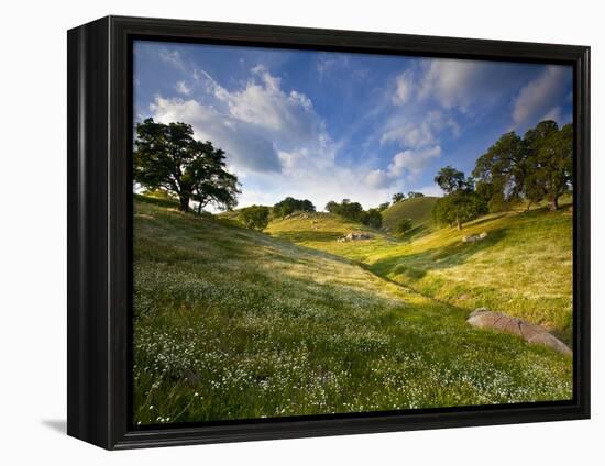 Rolling Green Hills of Central California No.3-Ian Shive-Framed Premier Image Canvas