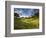 Rolling Green Hills of Central California No.3-Ian Shive-Framed Photographic Print