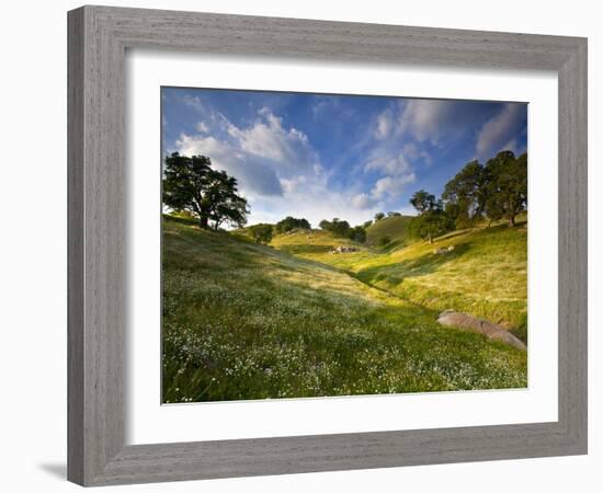 Rolling Green Hills of Central California No.3-Ian Shive-Framed Photographic Print