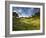 Rolling Green Hills of Central California No.3-Ian Shive-Framed Photographic Print