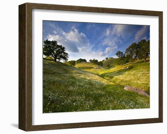 Rolling Green Hills of Central California No.3-Ian Shive-Framed Photographic Print