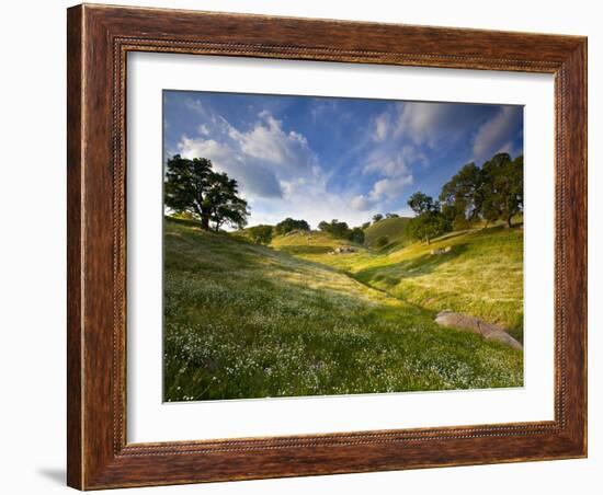 Rolling Green Hills of Central California No.3-Ian Shive-Framed Photographic Print