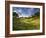 Rolling Green Hills of Central California No.3-Ian Shive-Framed Photographic Print