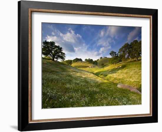 Rolling Green Hills of Central California No.3-Ian Shive-Framed Photographic Print