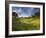 Rolling Green Hills of Central California No.3-Ian Shive-Framed Photographic Print