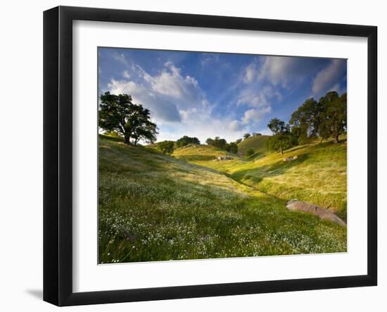 Rolling Green Hills of Central California No.3-Ian Shive-Framed Photographic Print