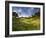 Rolling Green Hills of Central California No.3-Ian Shive-Framed Photographic Print