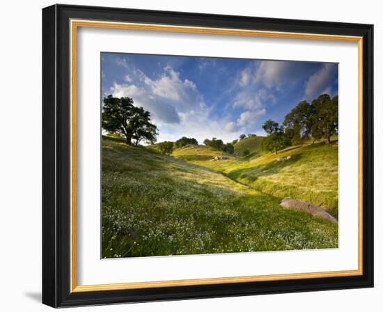 Rolling Green Hills of Central California No.3-Ian Shive-Framed Photographic Print