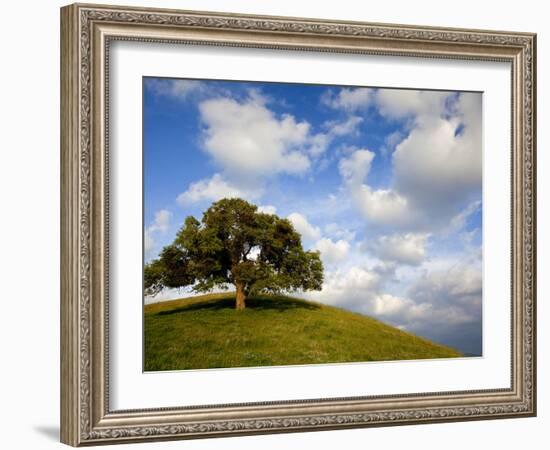 Rolling Green Hills of Central California No.5-Ian Shive-Framed Photographic Print