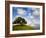 Rolling Green Hills of Central California No.5-Ian Shive-Framed Photographic Print