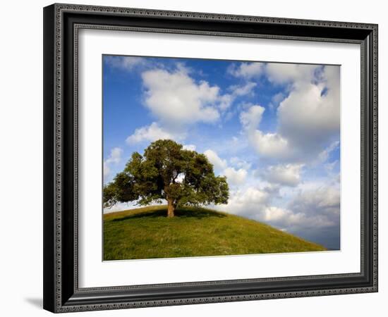 Rolling Green Hills of Central California No.5-Ian Shive-Framed Photographic Print