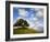 Rolling Green Hills of Central California No.5-Ian Shive-Framed Photographic Print