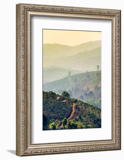 Rolling hills and coffee plantations in Central Highlands, Bao Loc, Lam Dong Province, Vietnam-Jason Langley-Framed Photographic Print