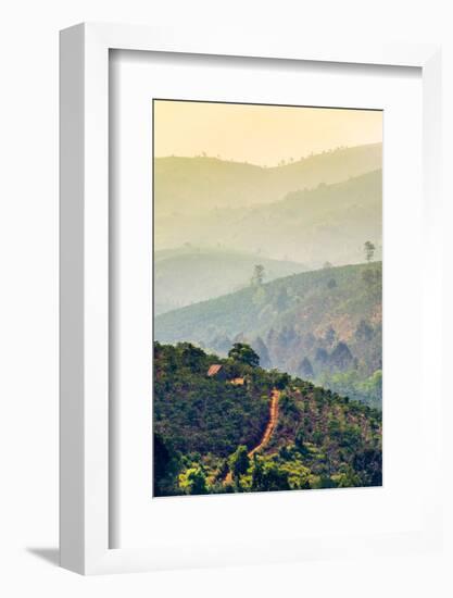 Rolling hills and coffee plantations in Central Highlands, Bao Loc, Lam Dong Province, Vietnam-Jason Langley-Framed Photographic Print