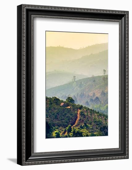 Rolling hills and coffee plantations in Central Highlands, Bao Loc, Lam Dong Province, Vietnam-Jason Langley-Framed Photographic Print