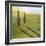 Rolling Hills I-Herb Dickinson-Framed Photographic Print