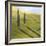 Rolling Hills I-Herb Dickinson-Framed Photographic Print