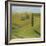 Rolling Hills II-Herb Dickinson-Framed Photographic Print