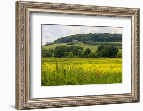 Rolling Hills Landscape. Tuscany, Italy-Tom Norring-Framed Photographic Print