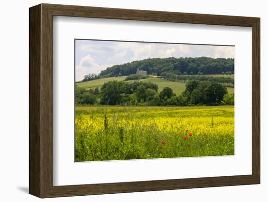 Rolling Hills Landscape. Tuscany, Italy-Tom Norring-Framed Photographic Print