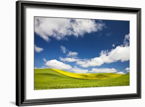 Rolling Hills of Canola and Pea Fields with Fresh Spring Color-null-Framed Photographic Print