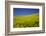 Rolling Hills of Canola, Palouse Country, Washington, USA-Terry Eggers-Framed Photographic Print