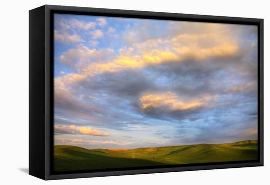 Rolling Hills of Green Spring Wheat and Evening Bright Clouds-Terry Eggers-Framed Premier Image Canvas
