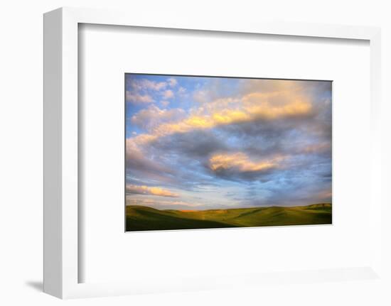 Rolling Hills of Green Spring Wheat and Evening Bright Clouds-Terry Eggers-Framed Photographic Print