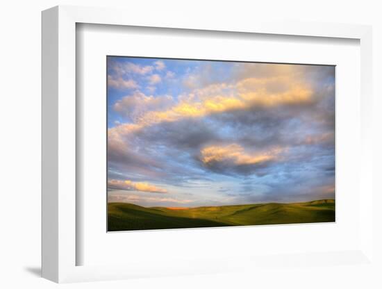 Rolling Hills of Green Spring Wheat and Evening Bright Clouds-Terry Eggers-Framed Photographic Print