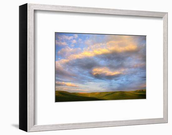 Rolling Hills of Green Spring Wheat and Evening Bright Clouds-Terry Eggers-Framed Photographic Print