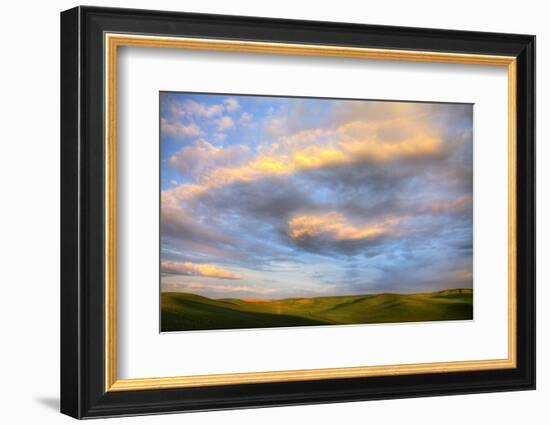 Rolling Hills of Green Spring Wheat and Evening Bright Clouds-Terry Eggers-Framed Photographic Print