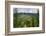 Rolling hills of Zakopane, a resort town in southern Poland in the Tatra Mountains.-Mallorie Ostrowitz-Framed Photographic Print