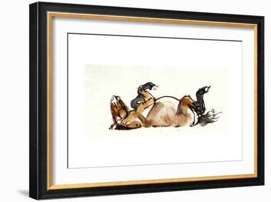 Rolling Horse (Przewalski), 2013-Mark Adlington-Framed Giclee Print