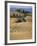 Rolling Landscape in Siena Province, Tuscany, Italy-Bruno Morandi-Framed Photographic Print