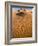 Rolling Orange Sand Dunes and Sand Ripples in the Erg Chebbi Sand Sea Near Merzouga, Morocco-Lee Frost-Framed Photographic Print